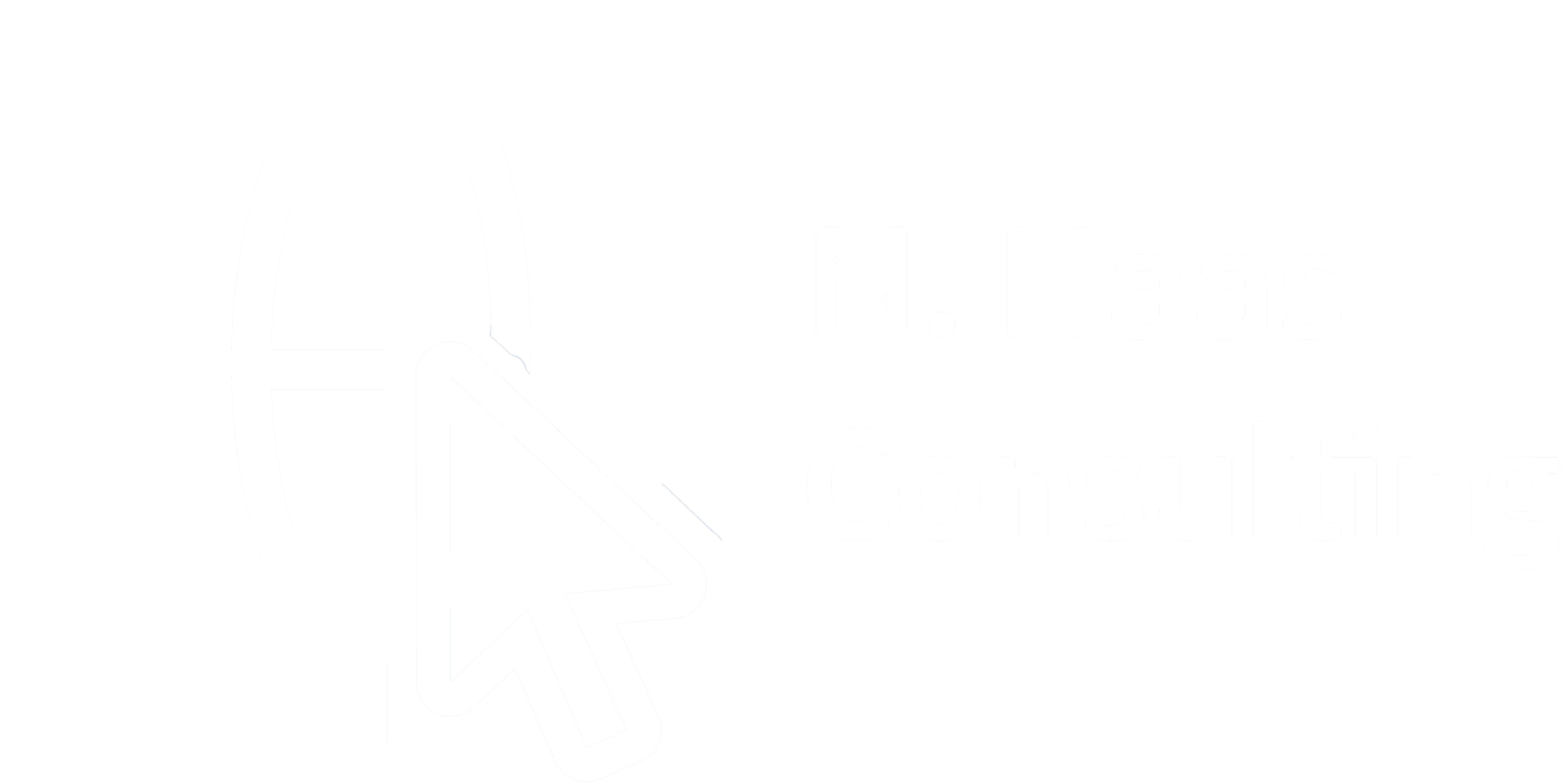 N. Haas Consulting